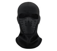 Winter Rider Warm Anti-Haze Balaclava Full Face Mask, Thickened Windproof Thermal Face Mask, Anti-Haze Dust Filter Cold Weather Full Face Cover for Motorcycle Riding, Skiing, Outdoor Sports (B)