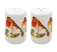 Winter Robin Design Fine China Salt and Pepper Shaker Pots