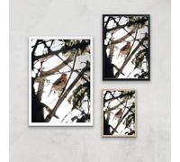Winter Robin Giclee Art Print - A2 - White Frame