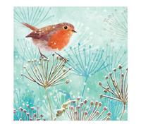 Winter Robin - RSPB Small Square Christmas 10 Card Pack