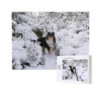 Winter Sheltie Wallpaper,500 Pieces Wooden Jigsaw Family Game Jigsaw Puzzles for Adults Teens Home Decor