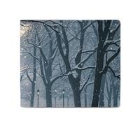 Winter Snow Falling in The Park Full Print Wallet, Double Fold Credit Card Wallet Change Wallet Card Case Money Organizer Wallet Cash Wallet with Smooth Zipper for Women Ladies Women, style, One Size