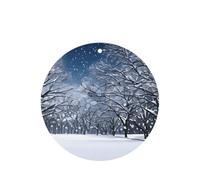 Winter Snow Falling In The Park Printing 10 Pcs Car Air Freshener Hanging Sheets Scented Hanging Sheets With Rope For Home