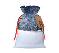 Winter Snow Falling In The Park Printing Christmas Bag With Drawstring Closure, 4.7x6.9 In For Christmas Party Birthday Gift Wrapping