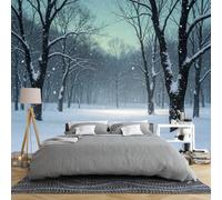 Winter Snow Forest Wallpaper Mural Non Woven 100 × 70 Cm 3D Panoramic Wall Mural Wallpaper Snowy Woodland Landscape Large Wall Decor for Bedroom Living Room Home Decoration Winter Snow 100 × 70 Cm