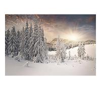 Winter Snow Scenery Photography Backdrop 5x3ft Winter Forest Snowy Landscape Background Pine Forest Frozen Woodland Wall Decor Photography Background