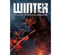 Winter Survival (PC) - Steam Key - GLOBAL