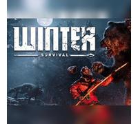 Winter Survival (PC) Steam Key - GLOBAL