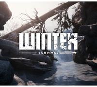 Winter Survival Steam CD Key