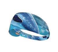 Winter The Dolphin Elastic Sports Headbands - Sweat Absorbent Workout Headband for Running, Yoga, Gym, Men & Women