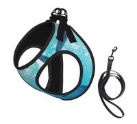 Winter The Dolphin Print Dog Harness Small Sized And Leash Set, Step In Soft Light Puppy Vest Breathable Mesh Pet Harness