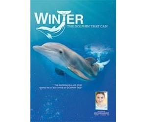 Winter, The Dolphin That Can by David Yates