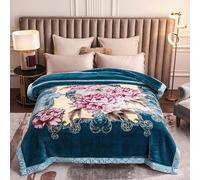 Winter Thick Fleece Blanket 59x79inch,Double Layer Microfiber Korean Mink Blanket 4.4LB Warm Plush Blanket Silky Soft Raschel Bed Blanket