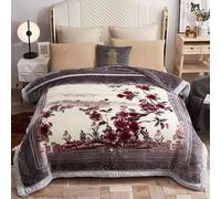 Winter Thick Fleece Blanket 59x79inch,Double Layer Microfiber Korean Mink Blanket 4.4LB Warm Plush Blanket Silky Soft Raschel Bed Blanket