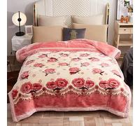 Winter Thick Fleece Blanket 59x79inch,Double Layer Microfiber Korean Mink Blanket 4.4LB Warm Plush Blanket Silky Soft Raschel Bed Blanket