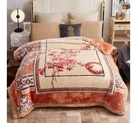 Winter Thick Fleece Blanket 80x90inch,Double Layer Microfiber Korean Mink Blanket 8LB Warm Plush Blanket Silky Soft Raschel Bed Blanket