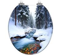 Winter Toilet Seat Resin Round Quiet Close Quick Release Hinges Decorative Easy to Clean & Install