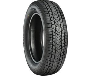Winter Tyre 175/65 R17 Gripmax 87V SUREGRIP EWINTER M+S