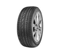 Royal Black Winter ( 195/65 R15 91H )