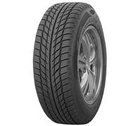 Winter Tyre 205/45 R17 Goodride 88H SW608 XL M+S
