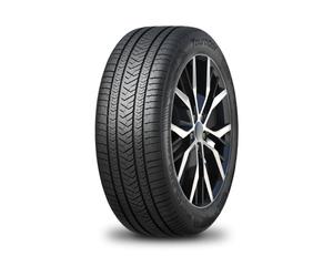 Winter Tyre 285/45 R19 Tourador 111V WINTER PRO TSU1 XL M+S