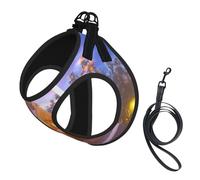 Winter Under The Sunshine Dog Harness - Equipped with Reflective Straps and Quick Release Buckles - Suitable for Small Cats and Dogs
