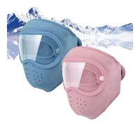 Winter Warm Fleece Windproof High-Definition Goggles, All in One Face Mask, Outdoor Ski Warm Goggles Hood (Pink, Blue)