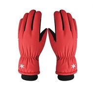 Winter Warm Gloves Outdoor Cycling Gloves Mittens for Men and Women Gifts (Color : Red Size: One Size) (Red One Size)