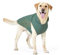 Winter Warm High Collar Waterproof Reflective Dog Safety Jacket With Leash Hole For Shiba Inu Golden Retriever Labrador,Green,M