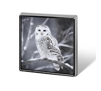 Winter White Owl Lapel Pin Fashion Brooch Pin Cute Button Badges Square Button Pins Enamel Pins Metal Pinback for Hat Shirt Clothing Bags Decoration