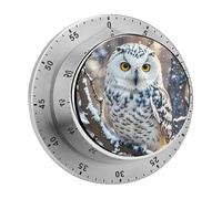Winter White Owl Timer Stainless Digital Visual Timer Exquisite Mechanical Countdown Time Management Tools with Silent Operation Timer for Kitchen Office Classroom