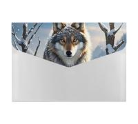 Winter Wolf Folder Expanding File Accordion File Folders with Labels Portable Document Paper Bill Receipt Organizer for Home College Office