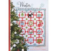 Winter Wonderland: 12 Cozy Christmas Quilts by Sherri Falls (2015-05-03)
