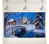 Winter Wonderland Backdrop, Snowy Landscape Rustic Party Decorations, Blue White Christmas Photography Background for Holiday Events 71x43 Inch