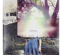 Winterpills - All My Lovely Goners (LP) [VINYL]