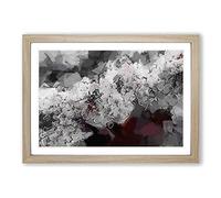 Winters Bloom Flowers in Abstract Framed Print | A2 Oak Framed Wall Art | Ready to Hang | Abstract Floral Picture | Living Room Bedroom Lounge Office