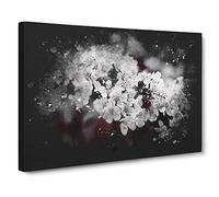 Winters Bloom Flowers Paint Splash Canvas Print | Gallery Wrapped 30mm Frame Wall Art | 24x16 inches | Ready to Hang | Modern Floral Picture | Living Room Bedroom Lounge Office
