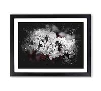 Winters Bloom Flowers Paint Splash Modern Art Framed Wall Art Print, Ready to Hang Picture for Living Room Bedroom Home Office Décor, Black A2 (64 x 46 cm)