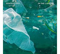 Wintersleep - In The Land Of