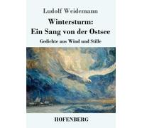 Wintersturm: Ein Sang von der Ostsee: Gedichte aus Wind und Stille