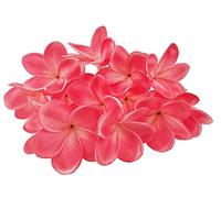 Winterworm 10 Stems Real Touch Artificial Hawaiian Lei Faux Ivory Plumeria Latex Flower Bouquet for Bride Wedding Party Festival Decoration Bouquet (Red)