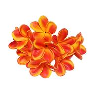 Winterworm 10 Stems Real Touch Artificial Hawaiian Lei Faux Ivory Plumeria Latex Flower Bouquet for Bride Wedding Party Festival Decoration Bouquet (Orange)