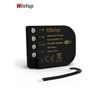 wintop DIY Smart Switch, Single 16A One Gang One Way Universal Control Compatible with Alexa & Google Home Assistant for Lights Household Appliance (WIFI eModule Single 16A)