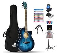 Winzz Acoustic Steel-string Guitar Beginner, Elegant Unique Color Design (vintage blue)