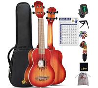 Winzz Soprano Ukulele for Adults & Kids - 21" Mahogany, Carbon Strings, Matte Sunburst