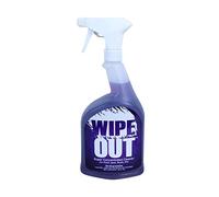 Wipe Out 6012 All Purpose Surface Cleaner for Swimming Pools, 1Quart