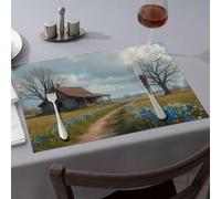 Wipeable Placemats Abandoned Cabin In The Heart Of Nature Dining Place Mats Placemats Modern Farmhouse Decor(1PCS)