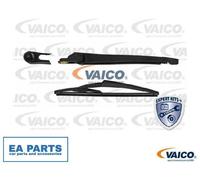 Wiper Arm Set, window cleaning for MERCEDES-BENZ W245 VAICO V30-3031 fits Rear