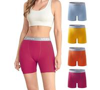 wirarpa Women's Boxer Briefs 5.5" Inseam Slip Shorts Anti Chafing Boyshort Panties for Under Dresses Leggings Multicoloured 4 Pack Size XXL
