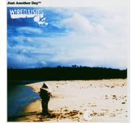 Wire daisies - Just Another Day